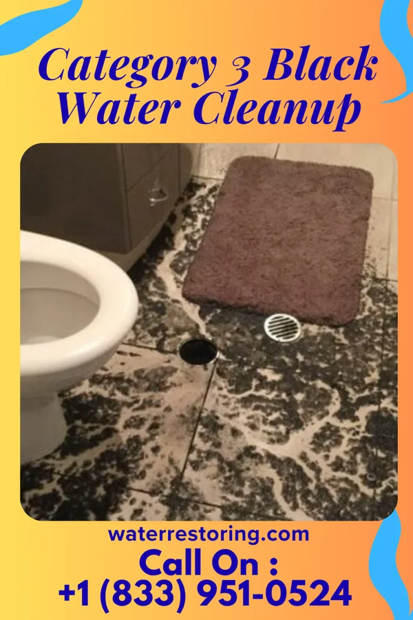Category 3 Black Water Cleanup in Louisville, TN