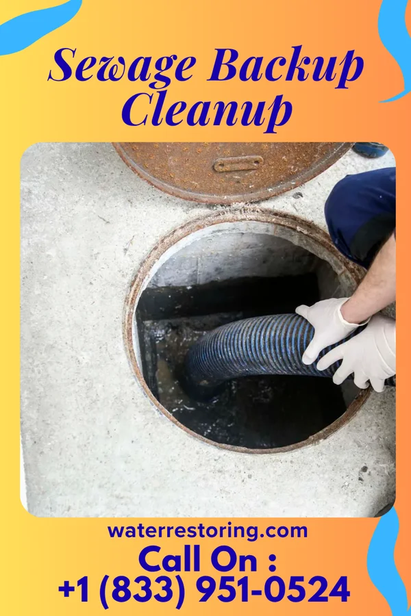 Sewage Backup Cleanup in Louisville, TN