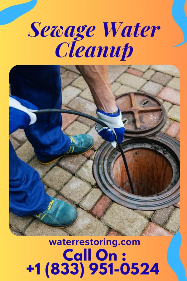 Sewage Water Cleanup in Louisville, TN